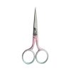 Stainless Steel Straight Tip Scissor BSC009P